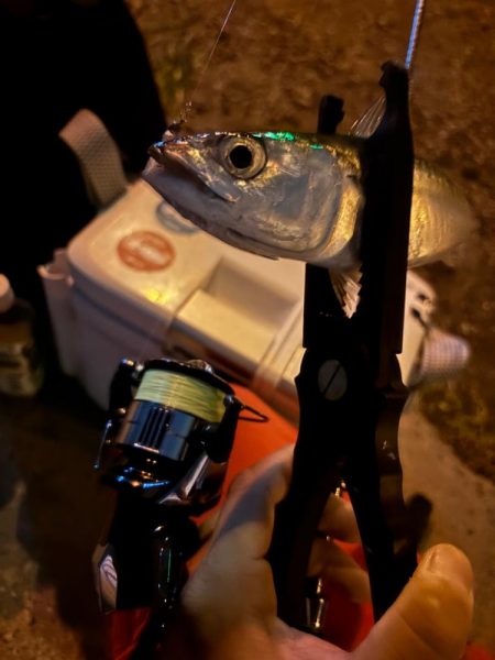 さてどんなものかね