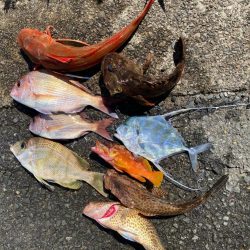 カヤックフィッシング