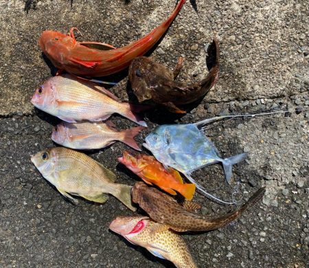 カヤックフィッシング