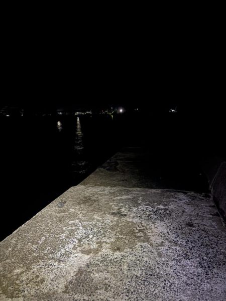 秋イカ探し 失敗