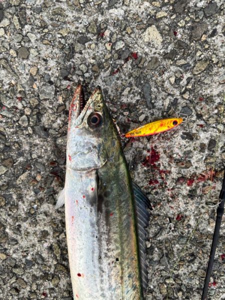 バラシばかりで…