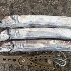 ピンポイントで、