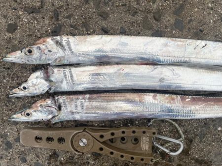 ピンポイントで、