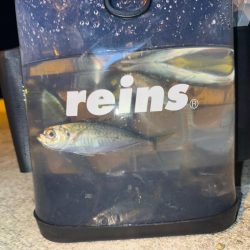 深夜の癒しの時間