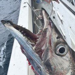 タチウオ/タチウオテンヤ