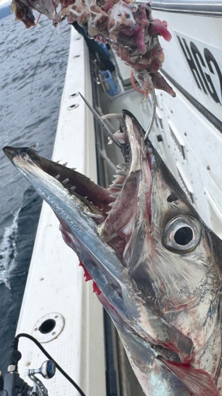 タチウオ/タチウオテンヤ