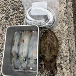 タチウオ回遊中