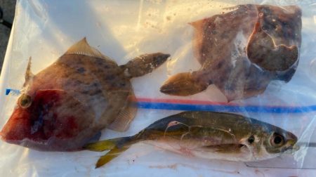 波風強し、スミ2のカワハギスタ