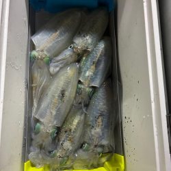 ティップラン和歌山