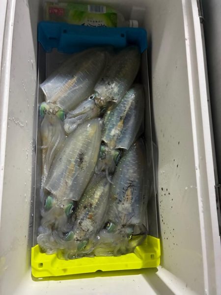 ティップラン和歌山