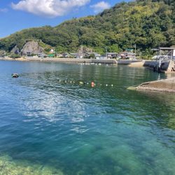 厳しい釣果………