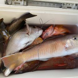 カヤックフィッシング