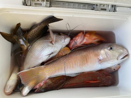 カヤックフィッシング