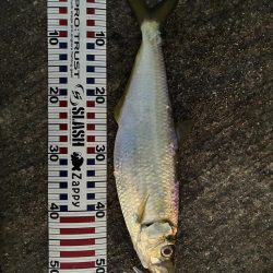 釣れたら何でも嬉しいよね⁉︎