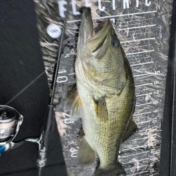 大雨の池原ダム