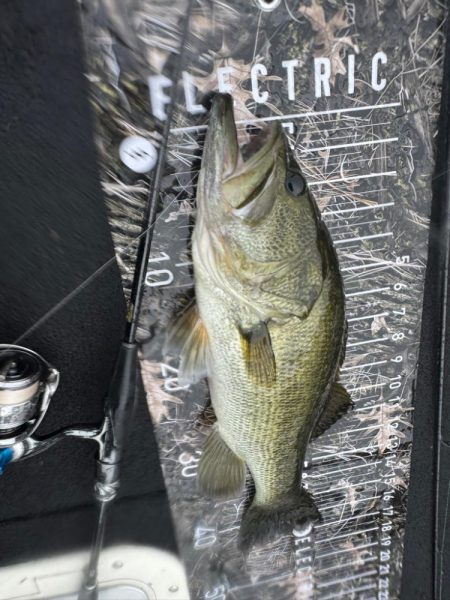 大雨の池原ダム