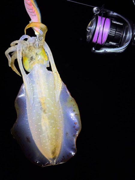 大阪秋エギング