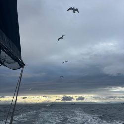 神戸沖のタチウオテンヤ