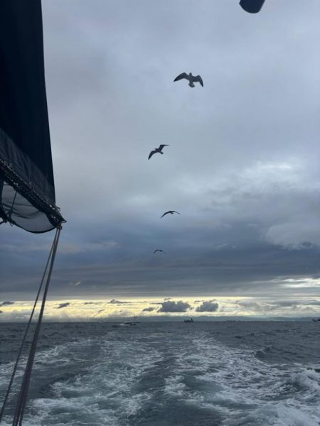 神戸沖のタチウオテンヤ