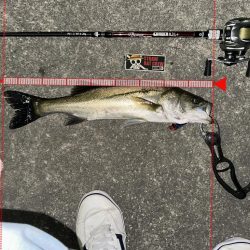 信じた潮回りがあれば…なんとかなる!