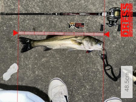 信じた潮回りがあれば…なんとかなる!