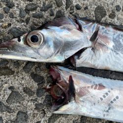 相変わらずの、、