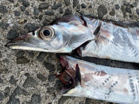 相変わらずの、、