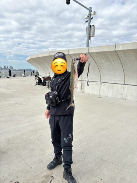 サゴシ釣り2日目