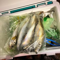 雨のなか、ポツポツと