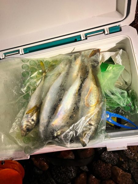 雨のなか、ポツポツと