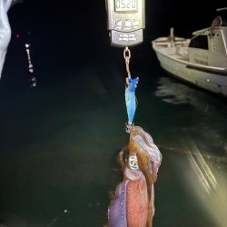 【伊根エリア】500g突入！秋イカ探し③