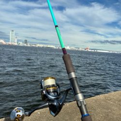 そろそろ中アジ始まる?