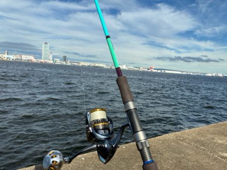 そろそろ中アジ始まる?