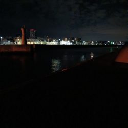 シーズン終盤…　渋かったです