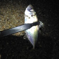 今日は調子悪いねぇ