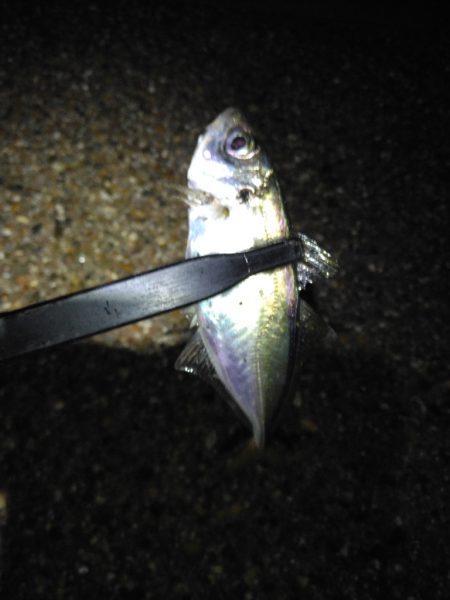 今日は調子悪いねぇ