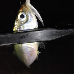 不調の原因がわかった！