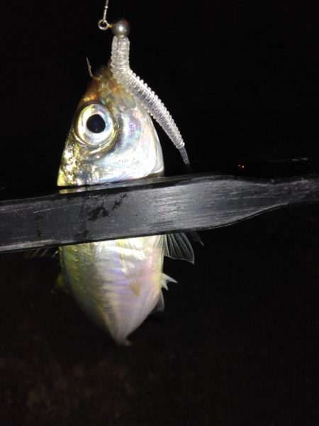 不調の原因がわかった！