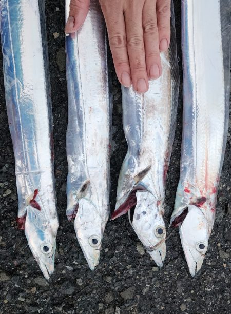 結構渋めでした