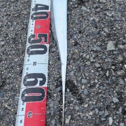 肌寒い中、残念賞