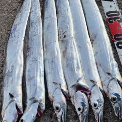 かなりお寒いです