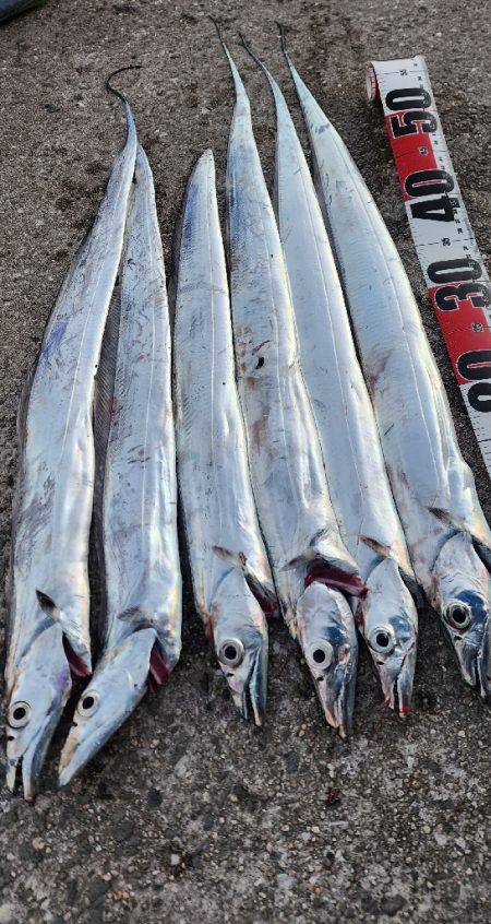 かなりお寒いです