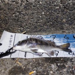 本命じゃないけど…