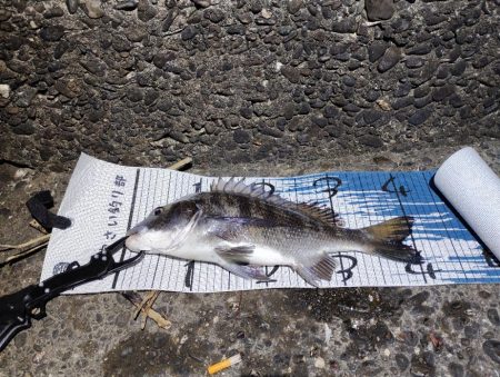 本命じゃないけど…