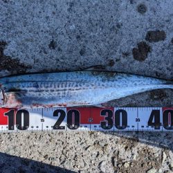 秋晴れの昼下がり