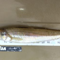 サイズが・・・