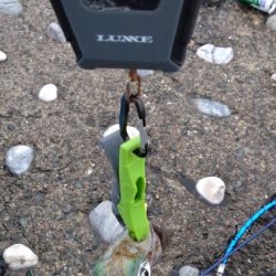 エギングでの初アオリGET🦑