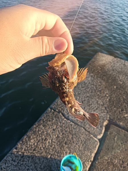 小松島ライトゲーム午前の部