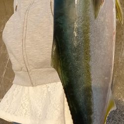 2025秋の青物シーズン開幕②