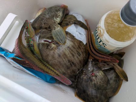 カワハギ【羽田えさ政より】